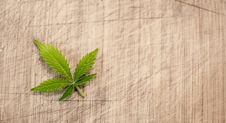cannabis